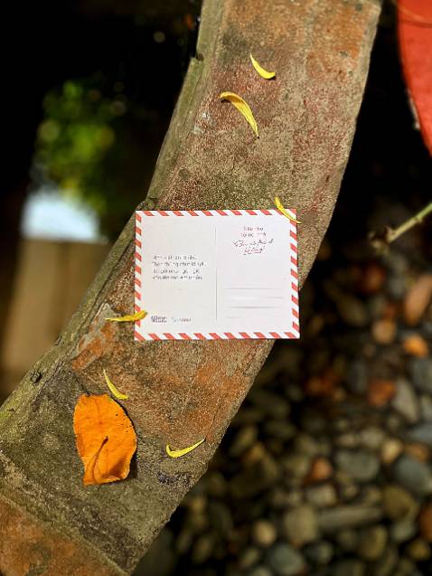 Giao hàng siêu nhanh, nhưng sách hơi cũ, chắc hàng trưng bày đem giao