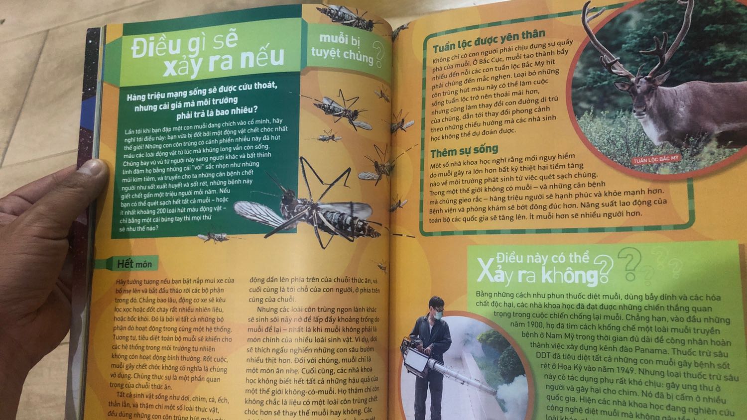 Tuy là National Geographic KIDS, tuy nhiên 12+ trở lên đọc sẽ hợp hơn