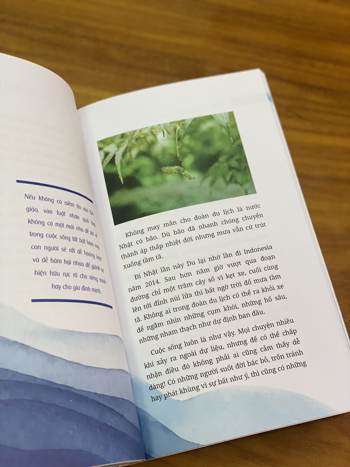 - Do mình đặt sách vào những ngày Sài gòn dịch căng thẳng nên Fahasa giao hàng bị trễ mất 3 ngày so với dự kiến. Tuy nhiên nhận thùng hàng đóng gói cẩn thận, sách được bọc chống sốc và màng mo phẳng phiu, không bị hư hại gì đáng kể nên mình rất vui và cực kì hài lòng. 
- Về mặt hình thức sách có bìa gập, khổ nhỏ, cầm vừa vặn; trình bày tốt, in màu toàn bộ và minh họa bằng ảnh phong cảnh (được chính tác giả chụp) khá đẹp. 
- Trong lúc bệnh dịch ngày càng trở nên phức tạp như thế này thì đọc Nhà thật sự là một liều thuốc cho trái tim. Hi vọng mọi người đọc xong Nhà sẽ mỉm cười với cuộc sống và nạp thêm nhiều năng lượng tích cực nhé.