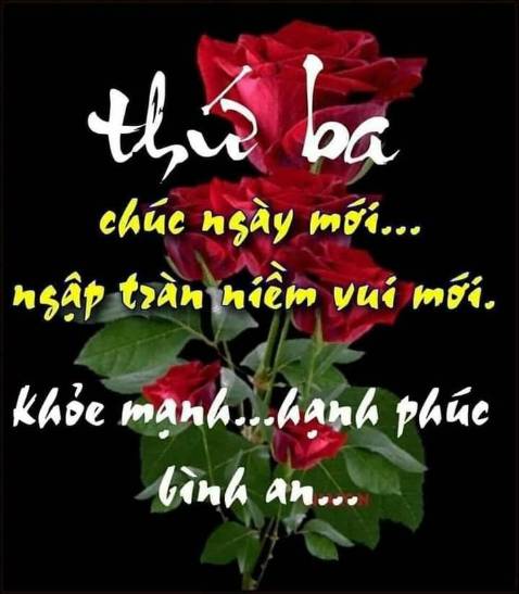 Sp như quảng cáo, hy vọng dùng tốt sẽ mua lai