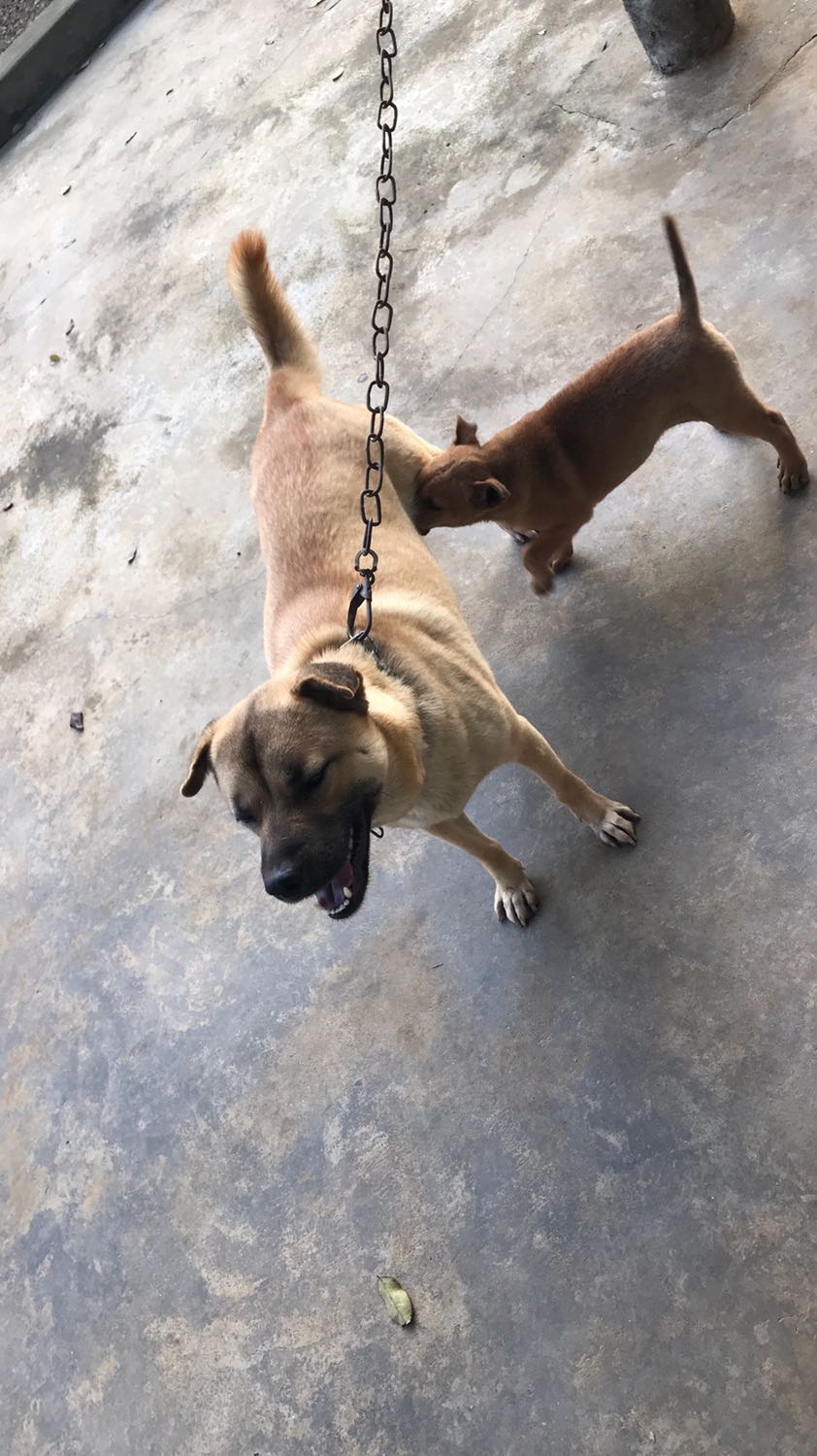 Bọc hơi sơ sài nhưng không bị móp, giao hàng nhanh, sách tốt. Cho shop 5 sao nhé