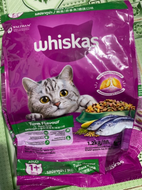 Mùi vị kích thích vị giác của mèo