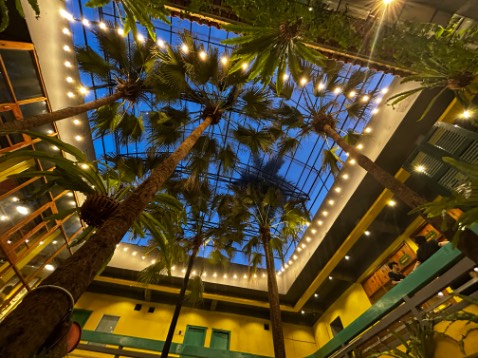 Hàng mới, máy in nhanh, nhỏ gọn. Tuy nhiên có nhiều ý kiến nói là hộp mực nhỏ nên mau cạn, cái này chờ thời gian trả lời