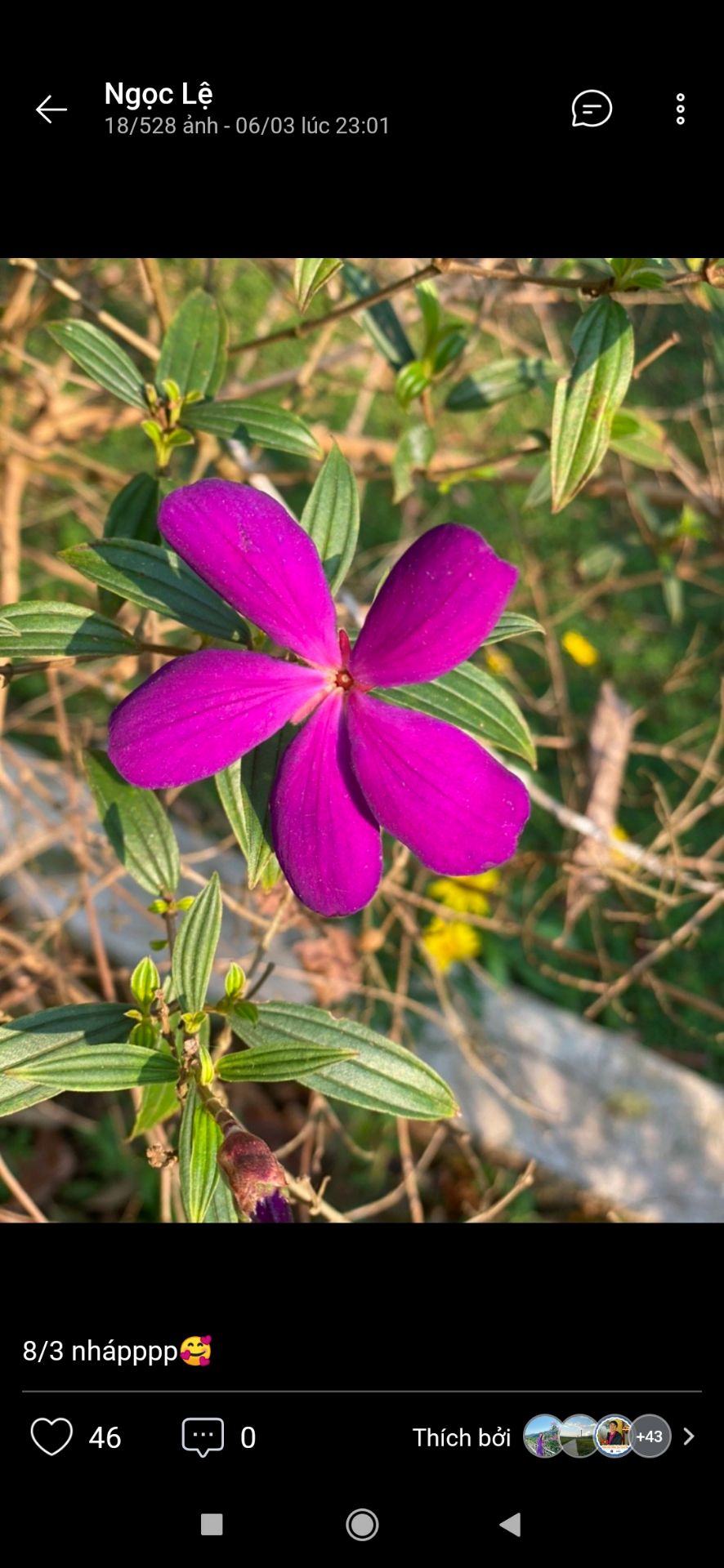 sách nhỏ qua sách nhỏ qua