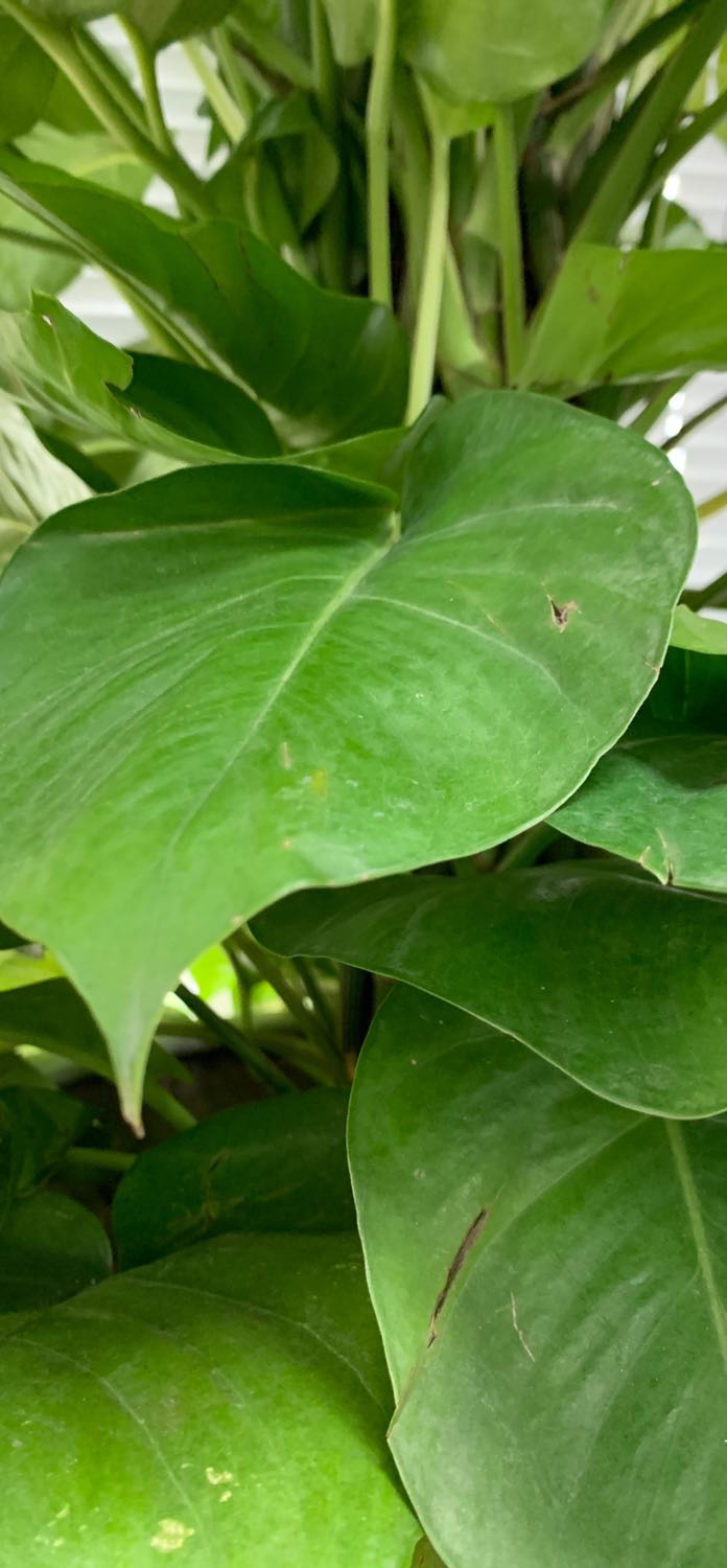 Cambridge English Qualifications are in-depth exams that make learning English enjoyable, effective and rewarding. Our unique approach encourages continuous progression with a clear path to improve language skills. We have qualifications for schools, general and higher education, and business.