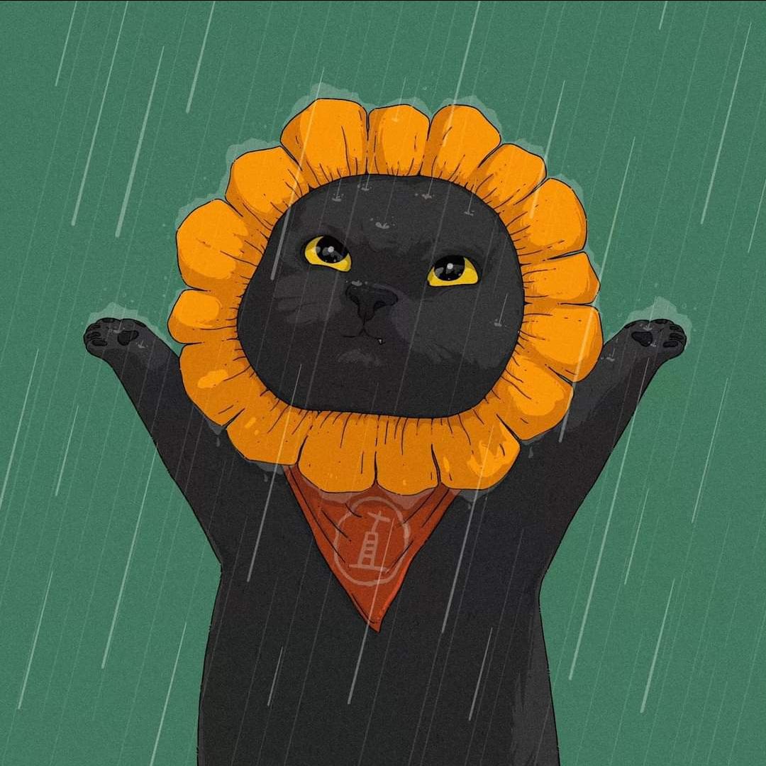 Hàng đẹp, chưa có thẻ nhớ nên không biết *** như nào