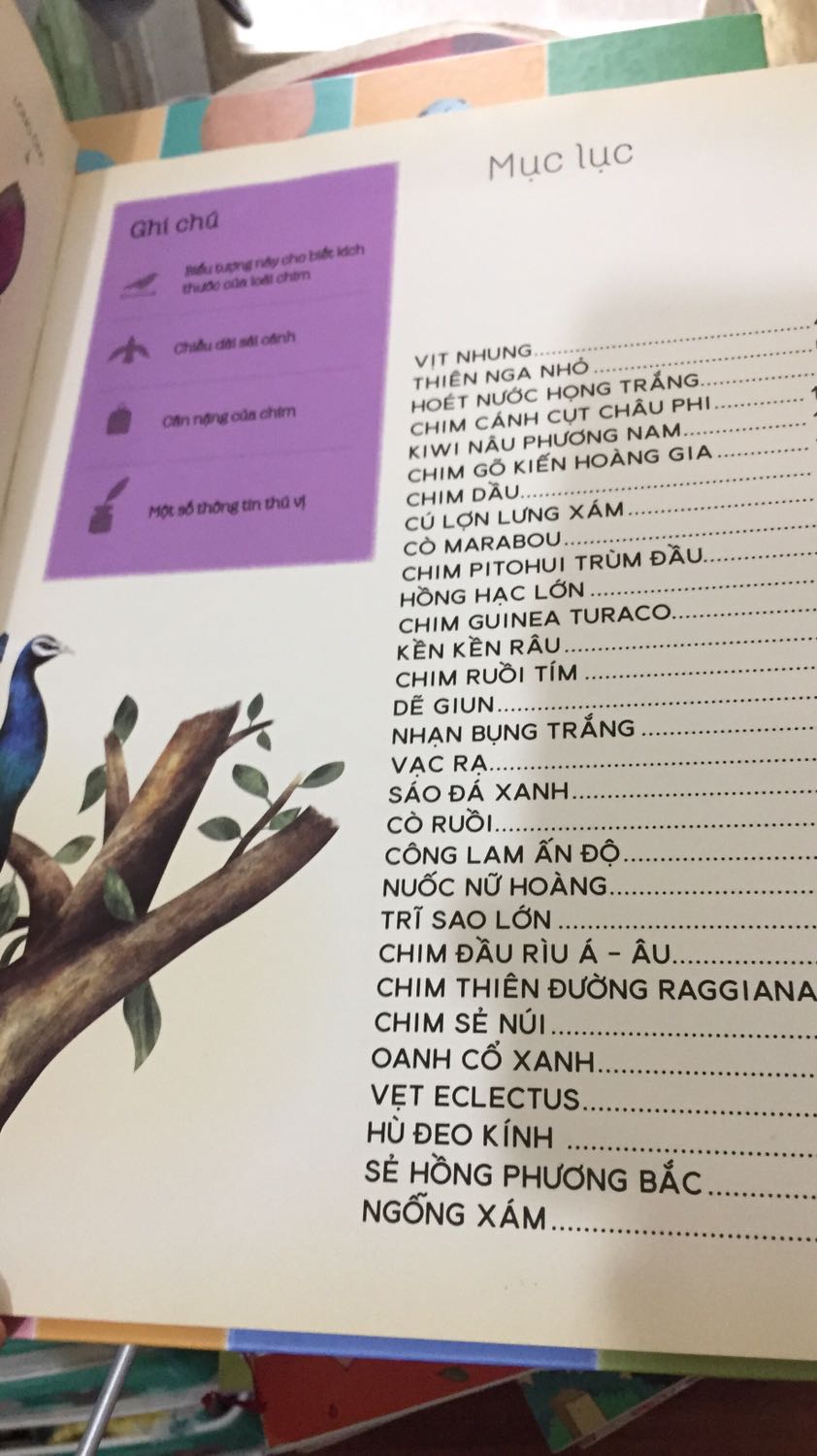 Cuốn về lông vũ này có cấu trúc tương tự cuốn về trứng. Sách đẹp lắm luôn. Sách kèm 1 tờ Poster khổ lớn tổng hợp hình ảnh về các loại lông vũ. Đẹp lắm luôn❤️