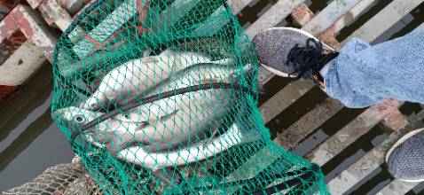 Chưa dùng nên kb bền hay k nhưng hàng nhận đc đúng hình , shipper thân thiện !!!