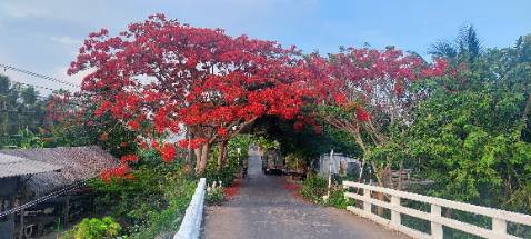 Kết quả chưa thật sự như mong đợi