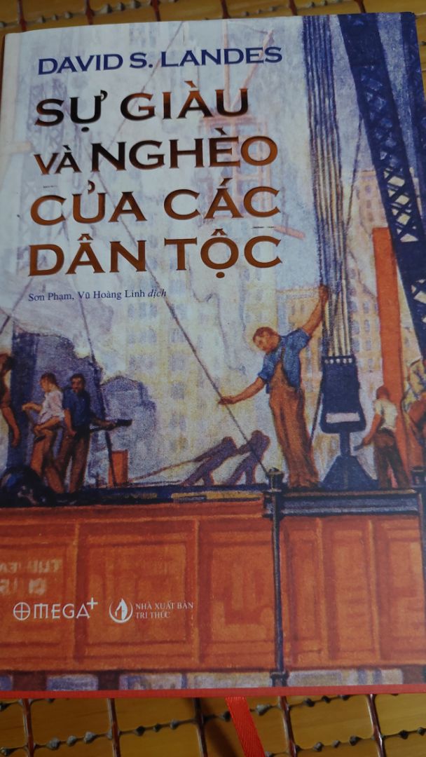 Lịch sử thế giới được trình bày theo khía cạnh phát triển kinh tế và hiện đại hóa. Tại sao một số quốc gia có thể vượt lên trên các quốc gia khác trở nên giàu có và thịnh vượng và ngược lại tại sao các nước nghèo lại mãi nghèo như vậy. Tác phẩm với tầm bao quát lớn giúp độc giả phần nào có câu trả lời cho riêng mình.