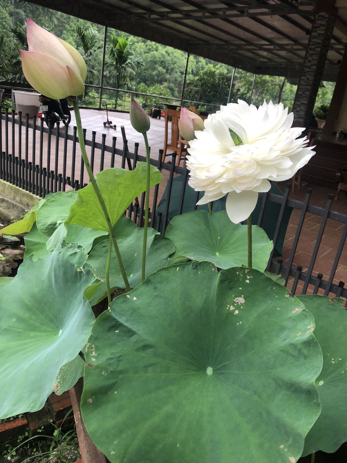 Sản phẩm đẹp mềm mại