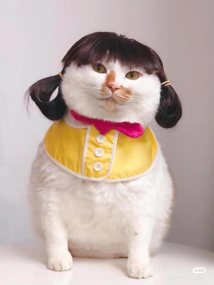 Giao hàng nhanh, đóng gói cẩn thận, giá cả phải chăng, cảm ơn tiki, sẽ tiếp tục mua