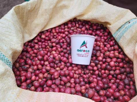 Sản phẩm rất hợp với gu của tôi. Cà phê rất thơm, đắng nhẹ, hậu vị ngọt dài, phù hợp cho cà phê sữa, cà phê đá, hoặc uống không đường