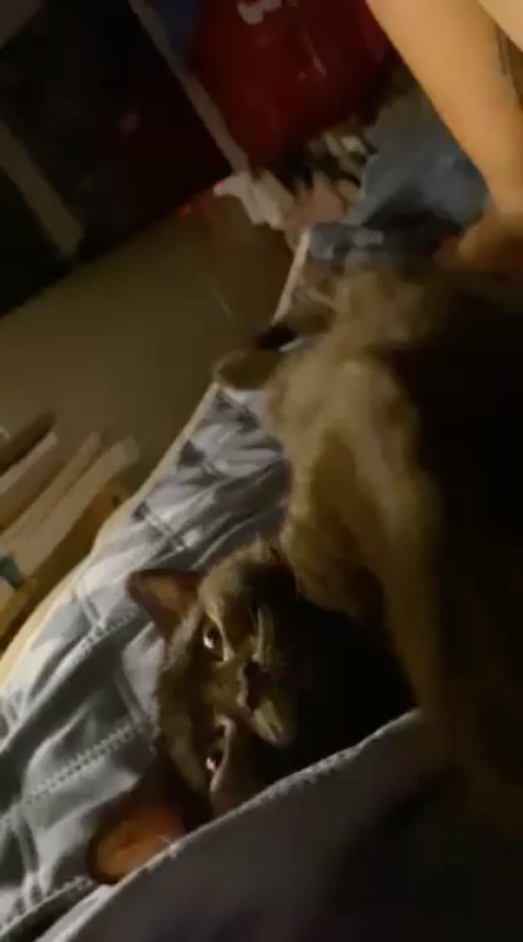 Giao hàng nhanh, bé nhà mình cực thích luôn, ăn xong là nằm uốn éo🌼