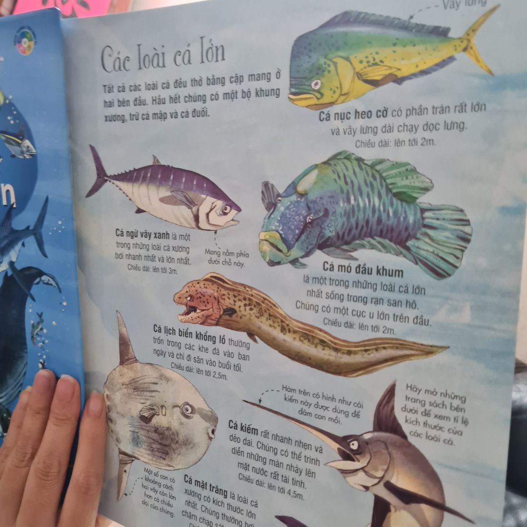 Giao hàng nhanh. Đóng gói cẩn thận. Sách tốt cho các bé