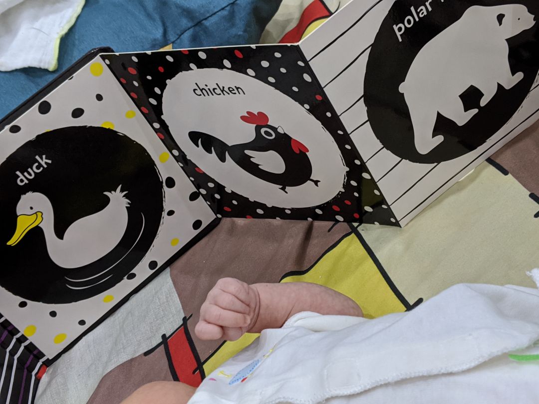 sản phẩm thiết kế phù hợp lứa tuổi, bìa cứng dựng lên cho bé nằm dễ coi. giá tiền trên tiki bán rất hợp lý. có con nhỏ nên mua cho bé coi