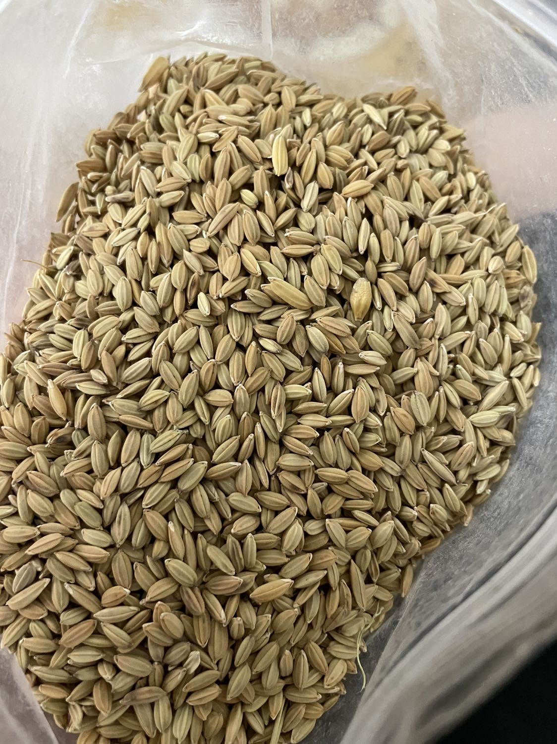 Đóng gói cẩn thận, kín đáo, ko thấy mốc, lép