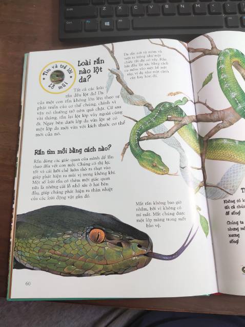 Tuyệt vời, nội dung hữu ích, trình bày đẹp.