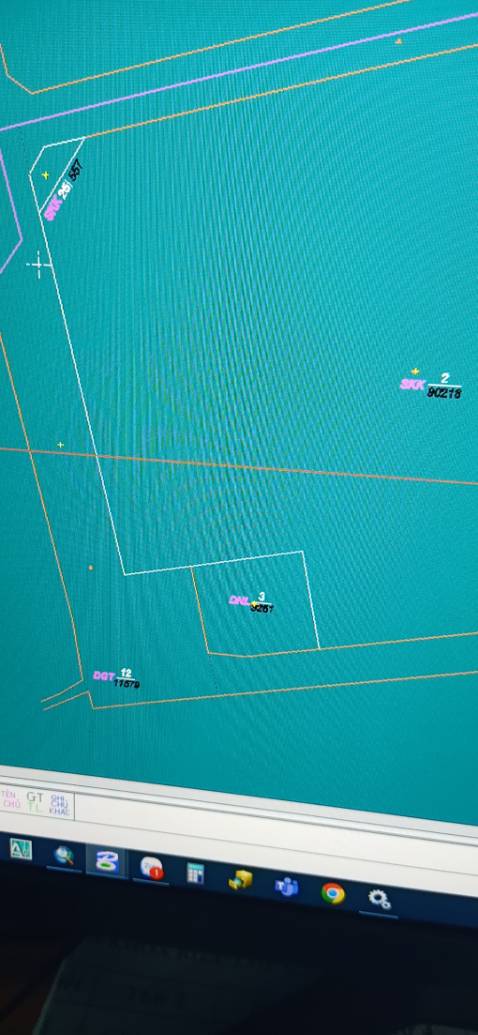 Giao hàng nhanh nhưng giống đểu, cây lùn tẹt mà ko ra hoa, ra quả