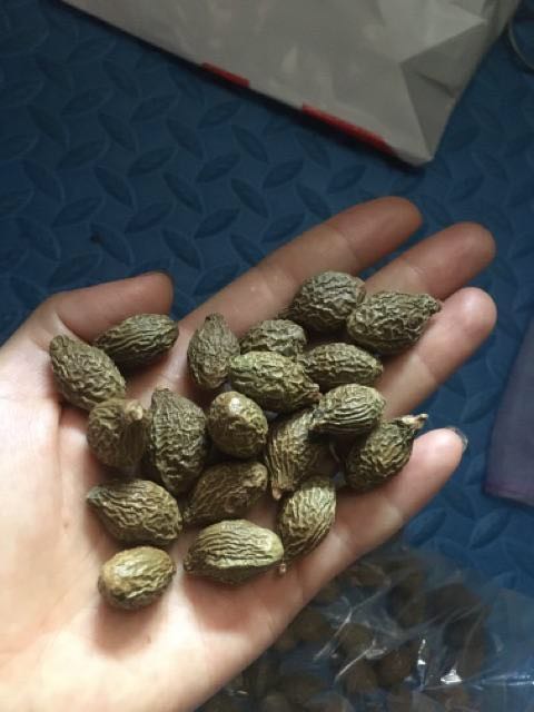 Nhận hàng mình cho 2 quả pha thử mà nó nở ra quá trời luôn.