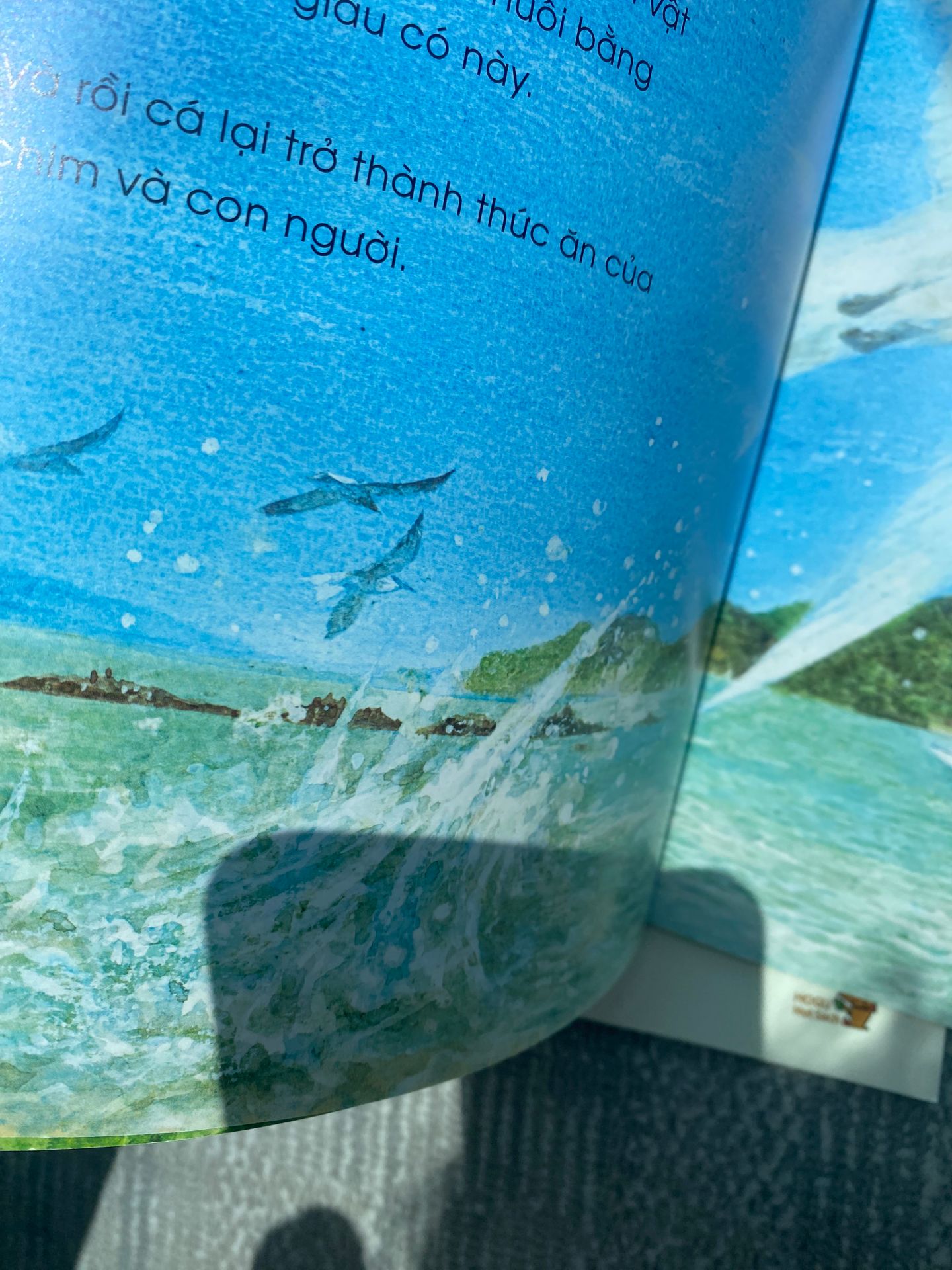 con mình 9 tuổi rồi thấy phù hợp để đọc những cuốn nhiều thông tin như thế này, bên trong hình minh họa rất đẹp