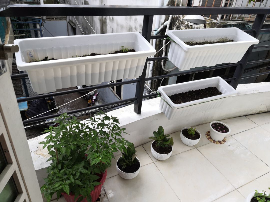 Chậu dày, tốt, màu hơi xám xám, nhưng rất xinh. Đóng gói và giao hàng lành lặn. mình đặt mua thêm 5 cái nữa vì lỡ gieo nhiều hạt quá. hehe