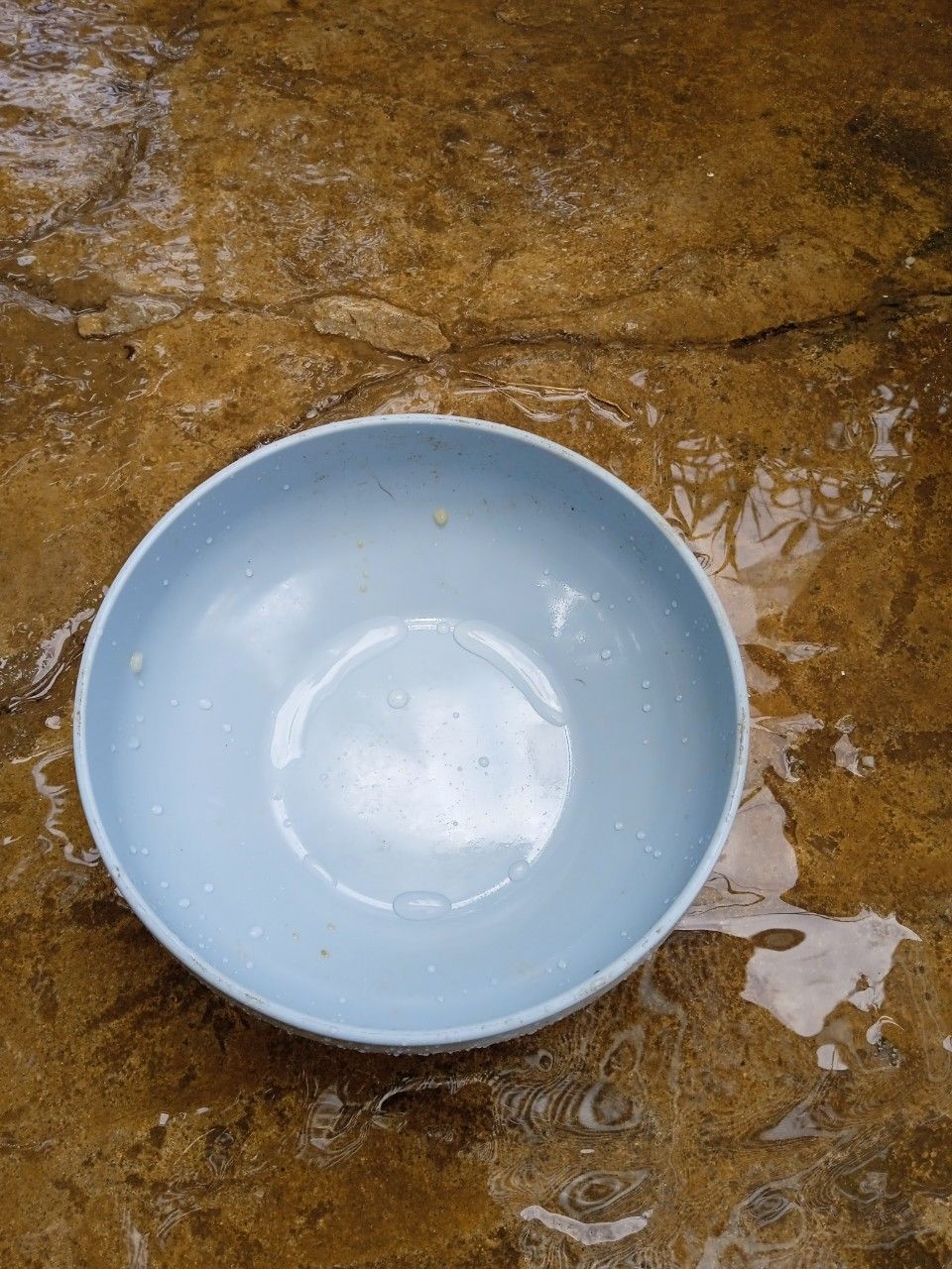 có 11k nên phải múc liền ❤️ tô xinh, nhựa cứng, mua cho bé kiki nhà ăn mà nó thích lắm 🤣 lần sau sẽ mua típ 🙆