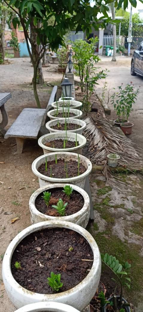 Tuy chưa dùng nhưng đánh giá shop 5* thái độ phục vụ nhé. Thanks shop mình đã nhận được đây đủ hóa đơn và hàng hóa 🤩🤩