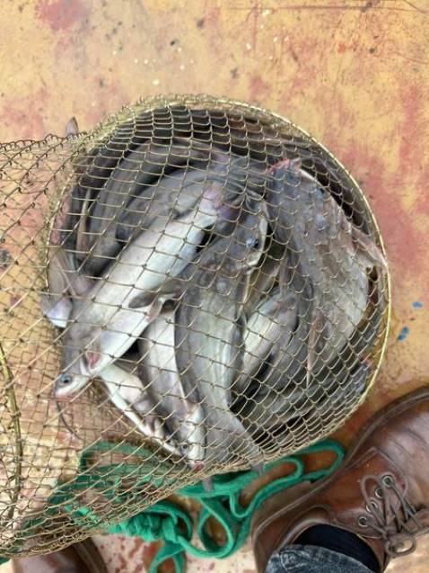 Hàng i như mô tả chất lượng ok