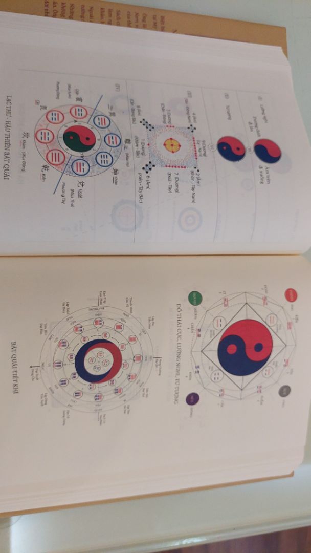 Khó nhất trong dịch học không phải ở lời mà ở tượng số. Dịch tượng luận chú trọng phân tích và bình chú phần tượng của kinh dịch.
Tử vi bí kiếp trong khi đó thiên về tâm lý học, ứng dụng kinh dịch trong việc tìm hiểu tính cách từng con người cụ thể.