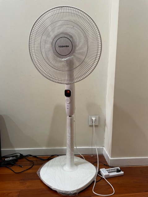 Đã mua 3 cây quạt này để sử dụng. Quạt êm, mát có nhiều chế độ gió để lựa chọn. Đặc biệt ở chế độ thường, có đến 24 mức để điều chỉnh.Thiết kế đẹp, trơn tru, cảm giác chắc chắn tin cậy. Nói chung, chất lượng và chức năng phù hợp giá tiền. 
Điểm trừ là remote chất lượng không tin cậy - 3 cây quạt thì chỉ có 1 hoạt động tốt! Và remote hư thì không được bảo hành.