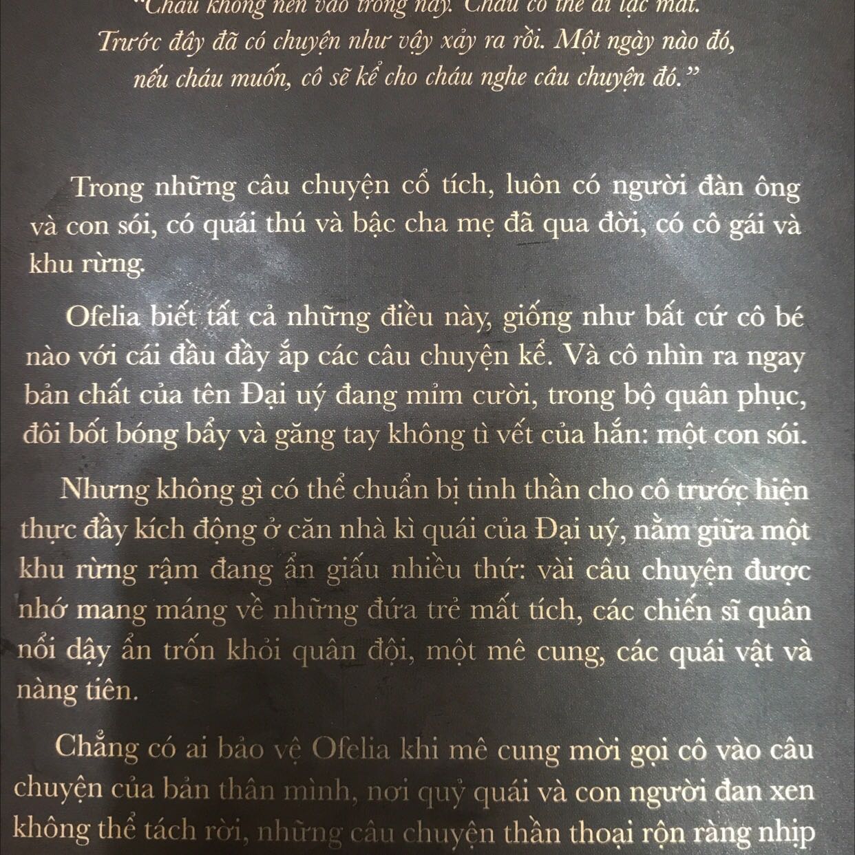 Giá tốt, sản phẩm đóng gói đẹp. Nội dung siêu hay và cuốn hút cho những người thích fanatsy vibe cổ tích nhưng vẫn ẩn chứa nhiều thông điệp sâu sắc như mình.