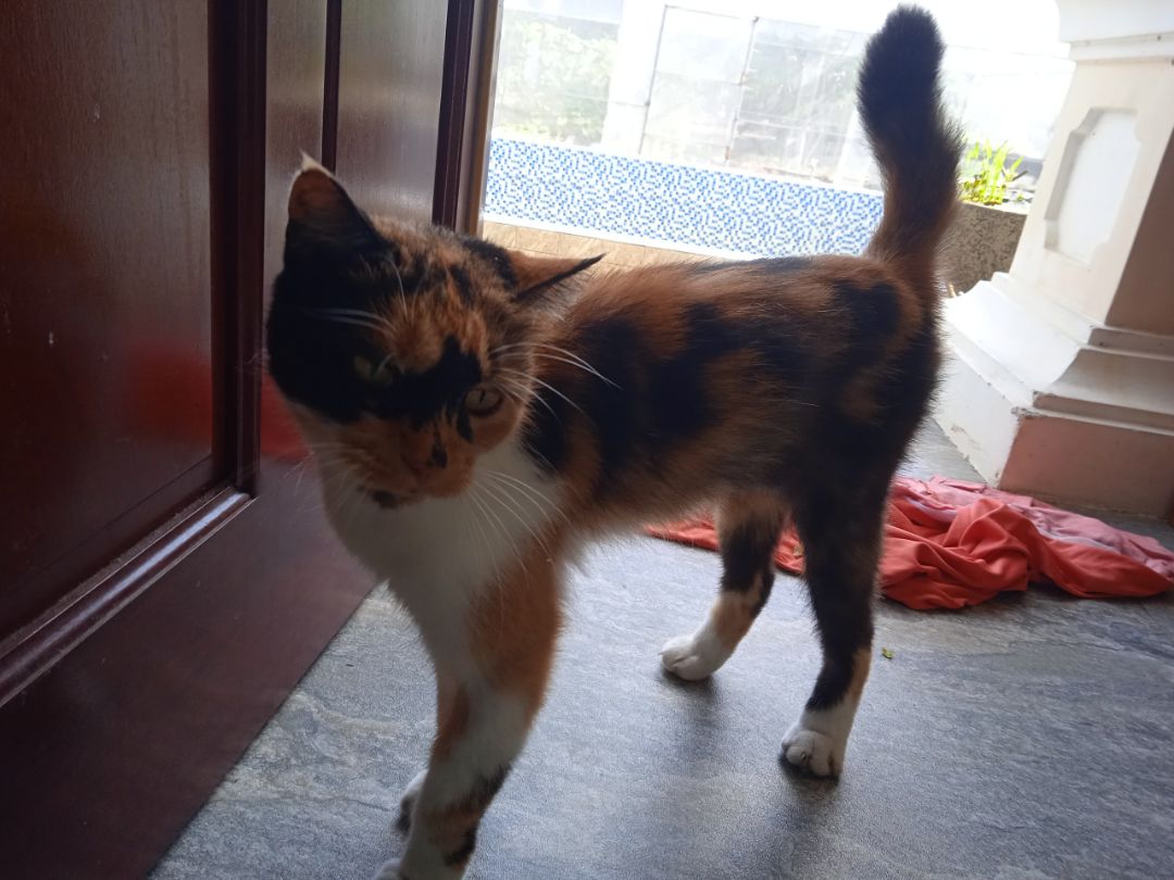 xịn ×2 (ảnh mang tc nhận xìn thui)