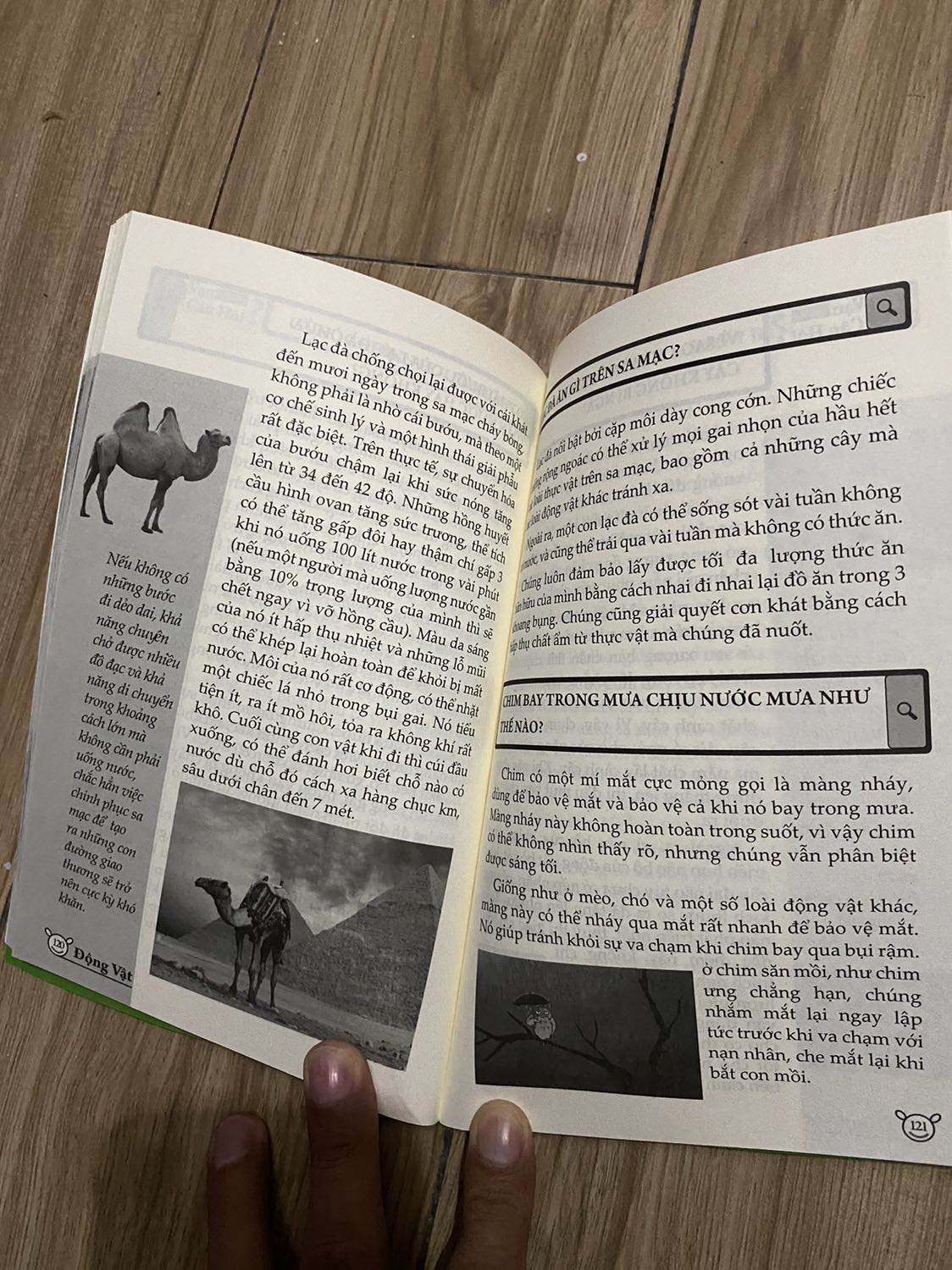 Đề nghị tiki nên có chính sách kiểm duyệt nội dung sản phẩm, shop nên có mô tả chi tiết sản phẩm để người tránh nhần lẫn. Ngoài thì đúng tiêu chí nhưng trong là gì? 
Sách liên quan về giáo dục, phát triển mà đứa trẻ bảo con chim nướng, khỏng long bị nướng 🤣🤣🤣