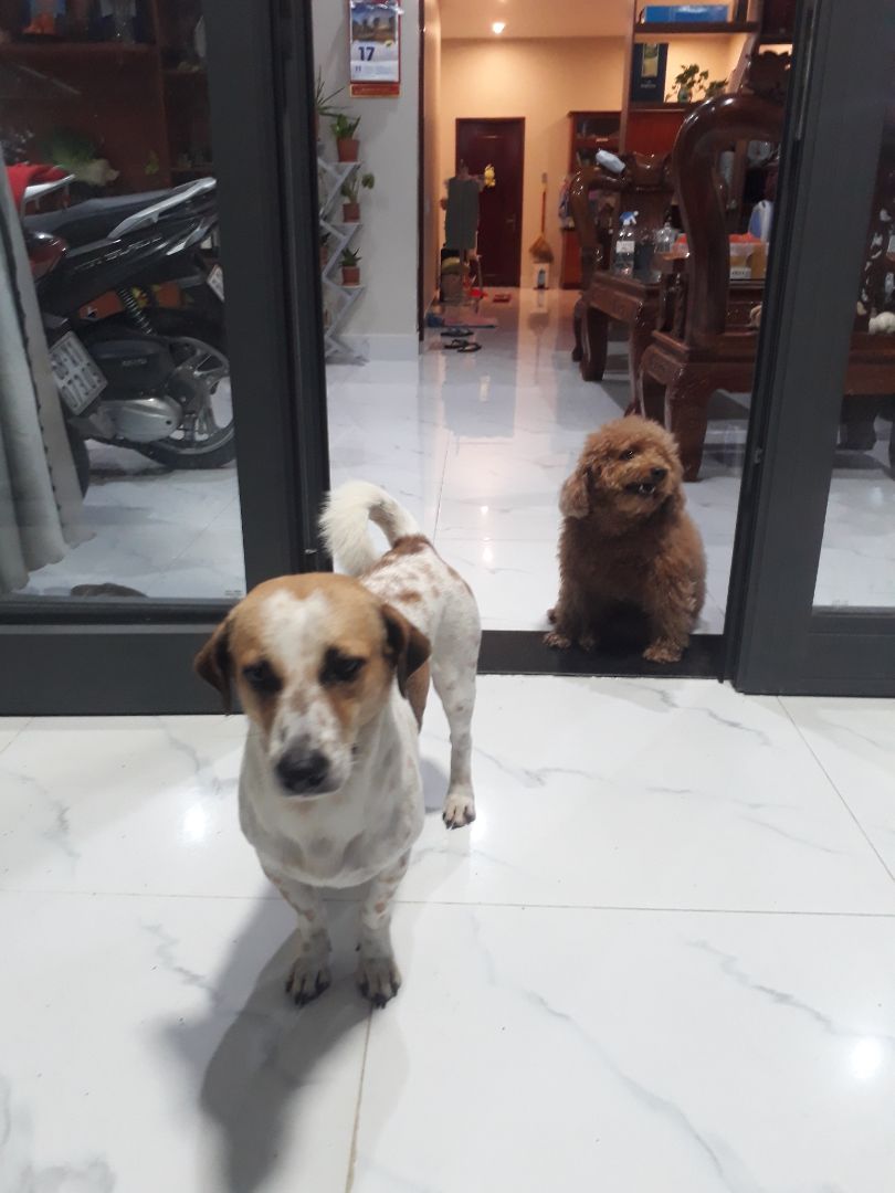 Đóng gói tốt. Mới dùng thấy ok nhưng thời gian sẽ đánh giá chính xác. Giao hàng cực nhanh