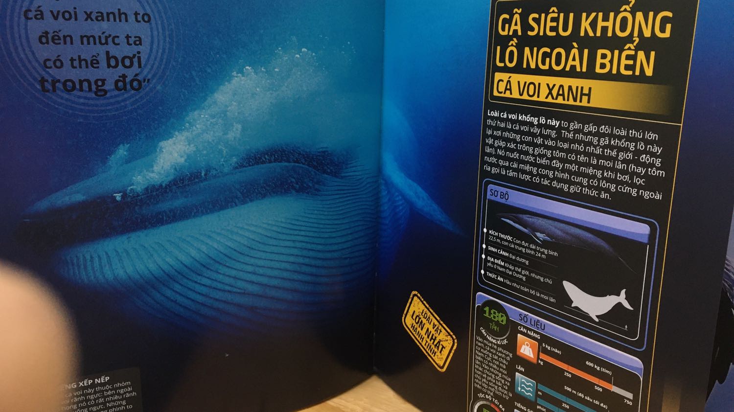 Cuốn này rất hay nhờ một người thầy mà em tôi mới biết, nhờ cuốn đó em tôi biết thêm được rất nhiều loài động vật nx. Cũng cảm ơn cuốn sách.