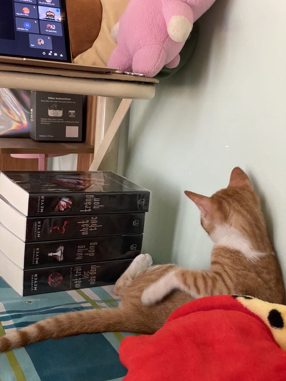 Tiki giao hàng đầy đủ, sách quá đẹp, bọc bookcare sáng bóng nhìn thích cực kì! Mình đặt tikinow giao hàng trong 2h quá là nhanh. Nội dung thì quá kinh điển rồi, mình đọc cũng phải gần 10 năm trước, bây giờ mới có cơ hội mua được trọn bộ nên thích lắm. Lần này lại có thêm cuốn mới nữa nên rất tò mò muốn xem thử thế nào!