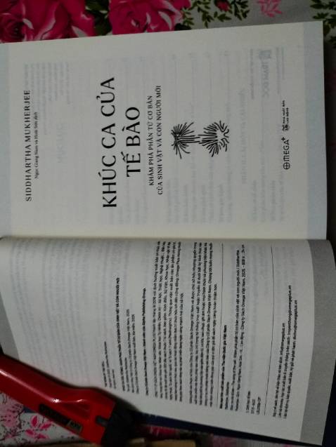 Sách được bọc seal kỹ lượng, chất giấy xịn, chữ rõ đẹp