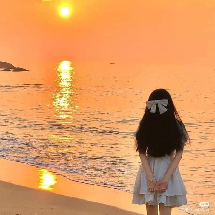 Máy dùng rất xịn lực hút mạnh hút ra được 1 đống bụi min luôn . Mọi người nên mua