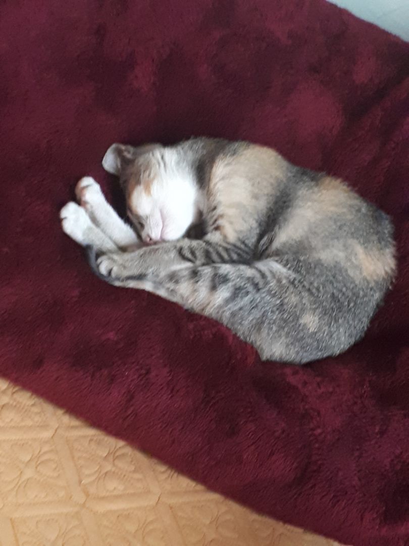 sản phẩm chất lượng, giao hàng khá nhanh sản phẩm chất lượng, giao hàng khá nhanh