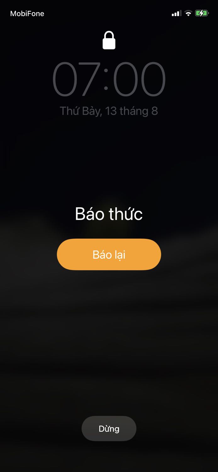 Giao nhanh, hàng giống hình, chưa *** thừ