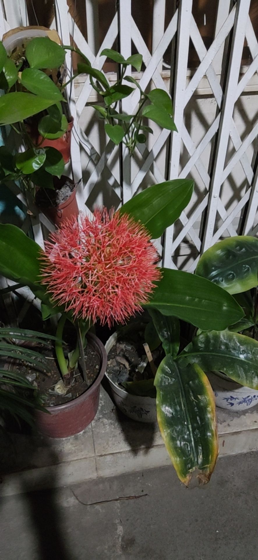 mới dùng lần đầu thấy cũng ok, phải sd thêm 1 thời gian mới biết rõ hơn