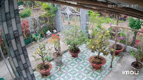 Hình ảnh sắc nét, lắp đặt dễ dàng.