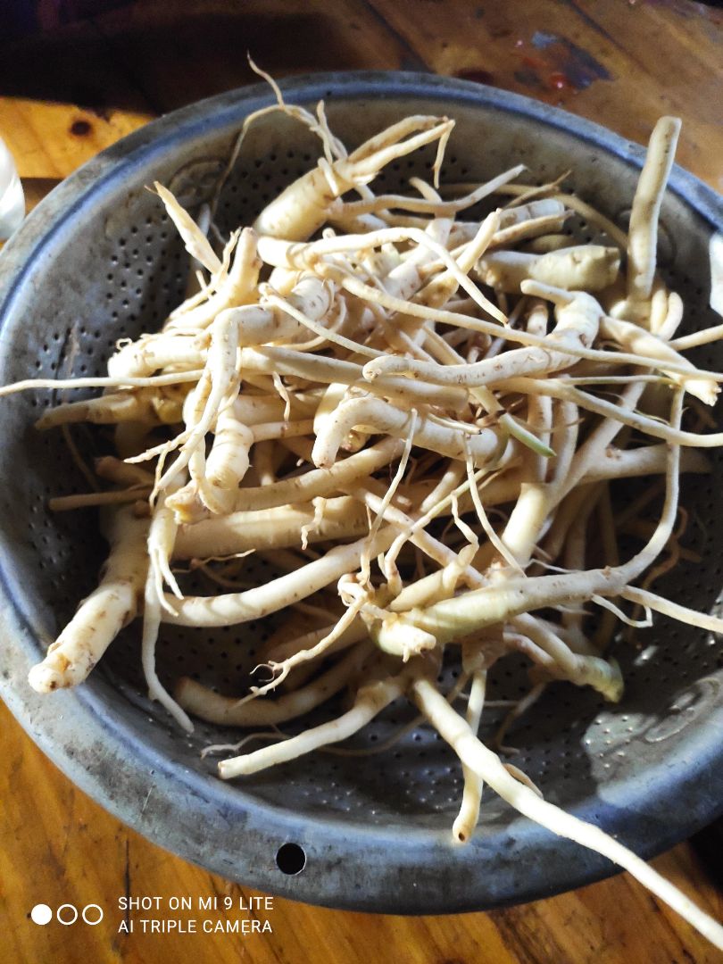 đẹp quá thanks shop sống khỏe tốt quá van chuyển cũng nhanh