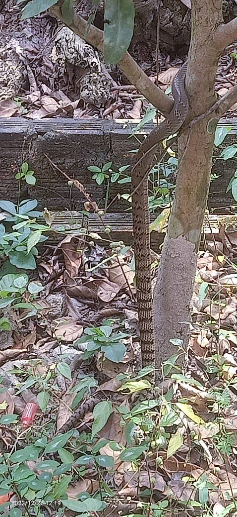 Hàng ok bao bọc kĩ và đúng hạn giao cảm ơn shop đã có tâm như thế.