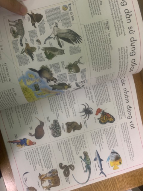 Sách rất hay, bìa cứng in màu chất lượng ✨
Có bản đồ và thông tin tương đối rõ về các loài động vật chính sinh sống ở những vùng có điều kiện khí hậu khác nhau trên thế giới 🌎
Shipper giao hàng nhanh, nhiệt tình, bảo quản hàng hoá tốt 💯💯💯