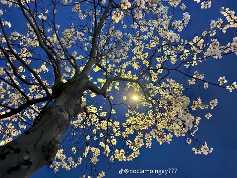 Hay, đóng gói cản thánn