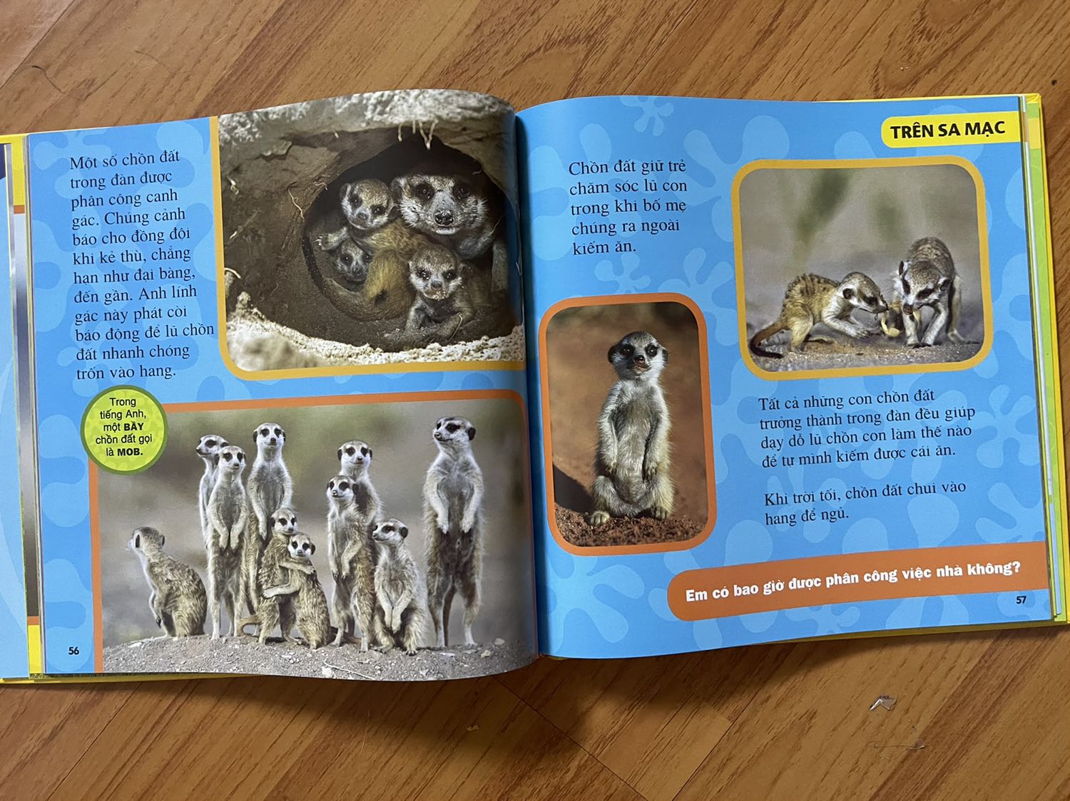 Sách đẹp, nội dung hay.