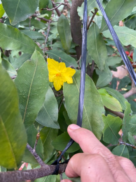 Màu đẹp. Đường may chuẩn. Rộng rãi. 
Tiki giao hàng nhanh. Đóng gói cẩn thận.