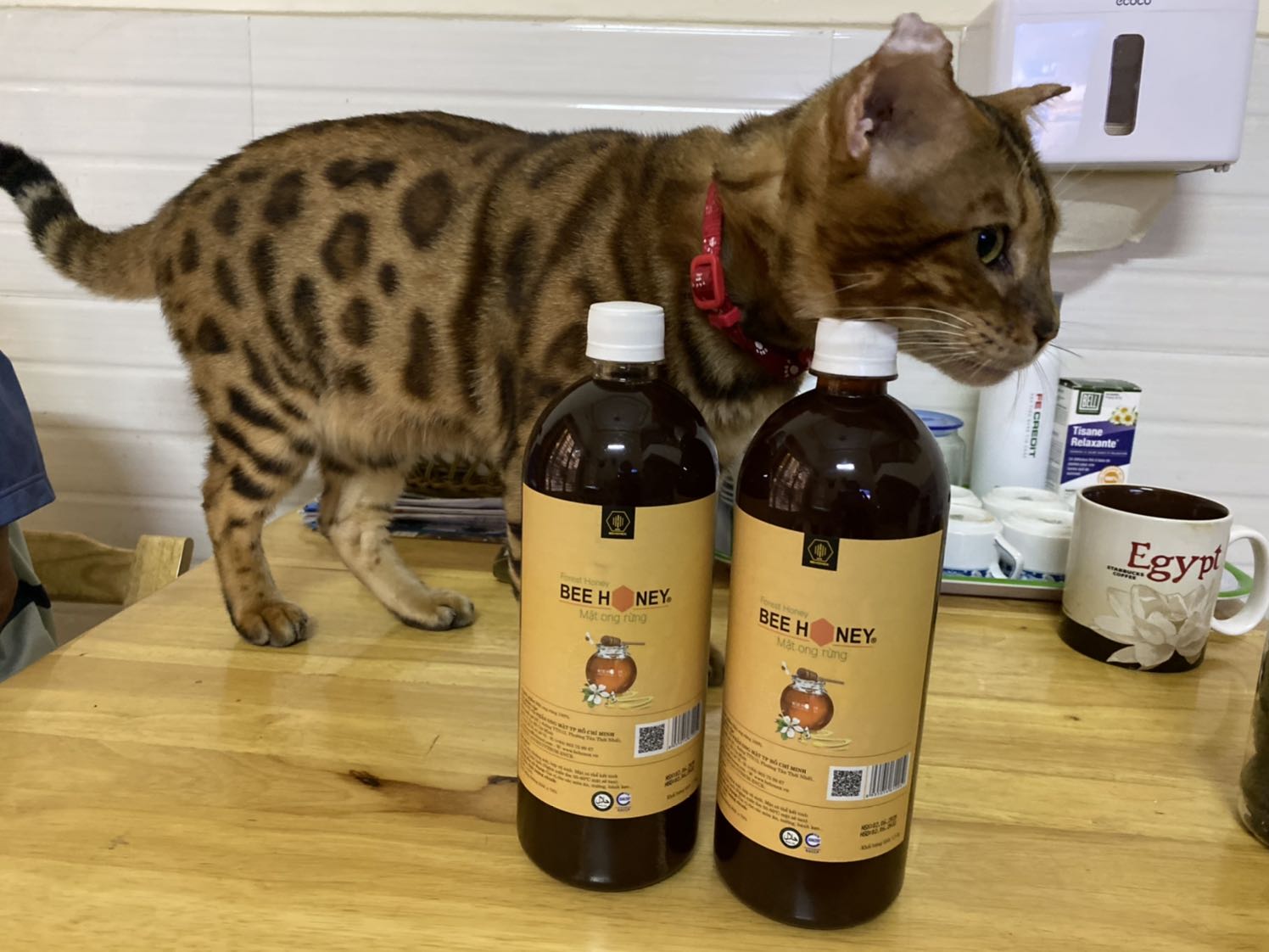 Mật ong Bee ? Honey chất lượng tốt, giá rẻ, đã mua nhiều lần.